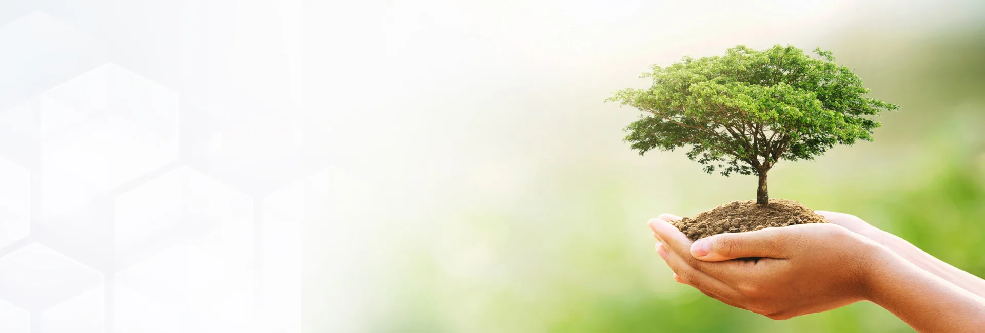 alla-digital-marketing-xay-nguon-gia-tri