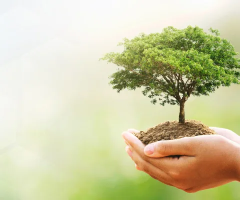 alla-digital-marketing-xay-nguon-gia-tri-mobile