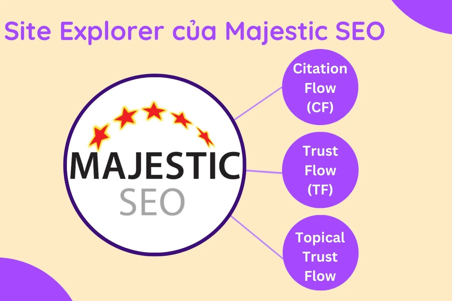 Tính năng Site Explorer của Majestic SEO gồm 3 loại dữ liệu chính